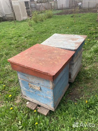 Продам ульи для пчел