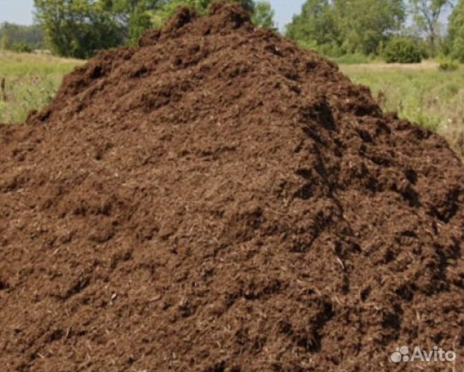 Конский навоз