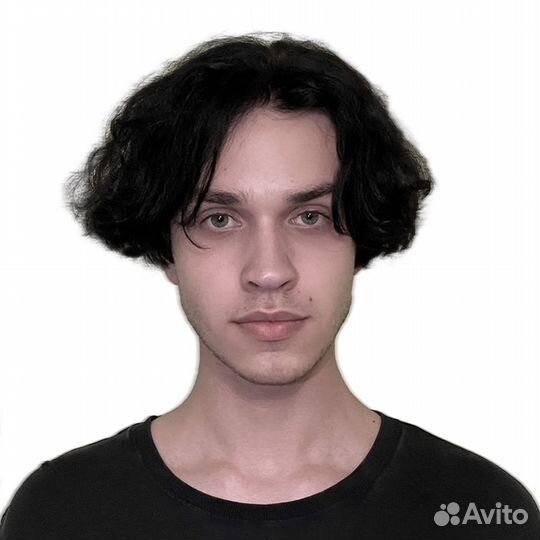 Веб разработчик