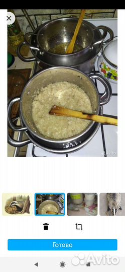 Барсучий жир