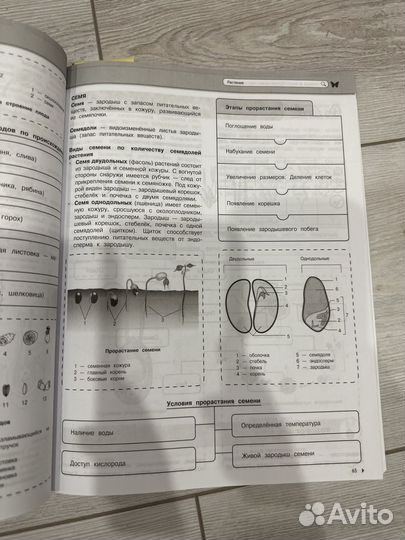 Наглядный школьный курс биология к ЕГЭ и ОГЭ