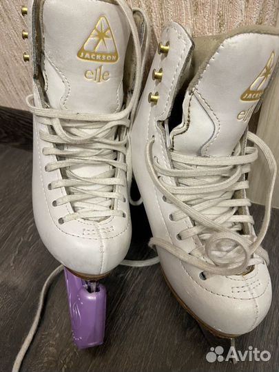Коньки Jackson elle