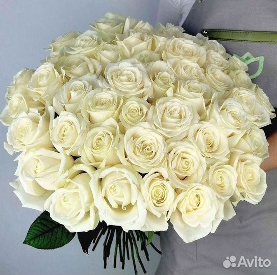 Метровые розы 110