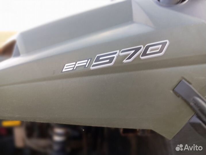 Снегоболотоход Polaris