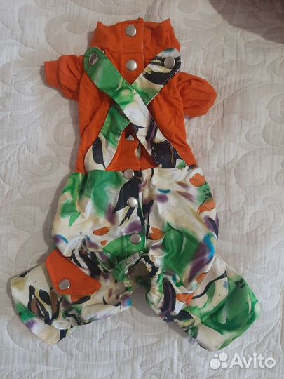 Одежда для собак