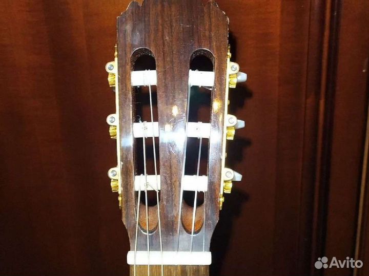 Гитара Yukihiro Chai