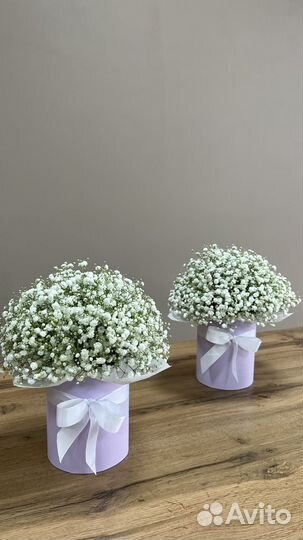 Гипсофила Букеты Анапа Доставка