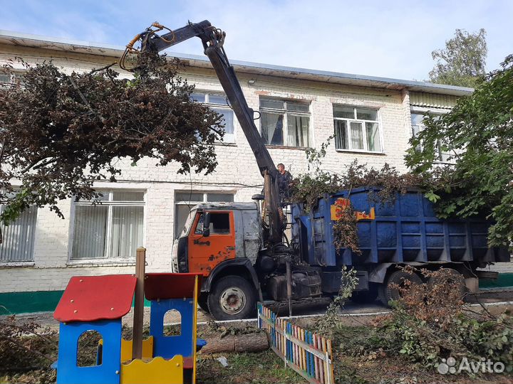 Спил и кронирование деревьев