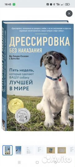 Дрессировка собак