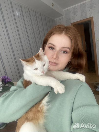 Передержка домашних животных