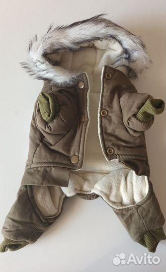 Одежда для собаки