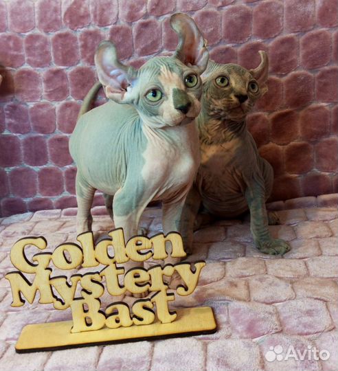 Сфинкс Эльф