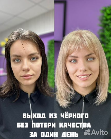 Ассистент парикмахера