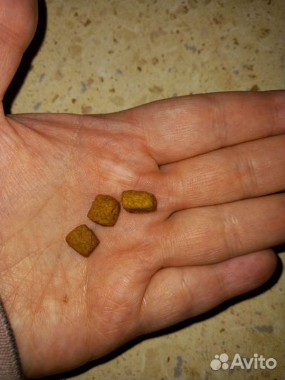 Корм для кошек проплан диабет