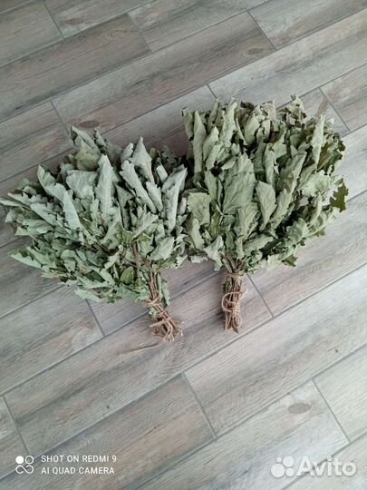 Дубовые веники для бани