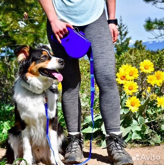 Поводок AR для собак с поилкой, фляга на 400 мл