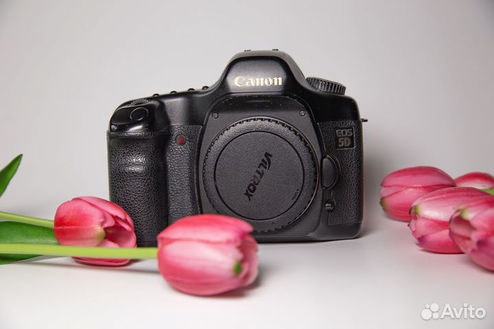 Зеркальный фотоаппарат canon 5D body