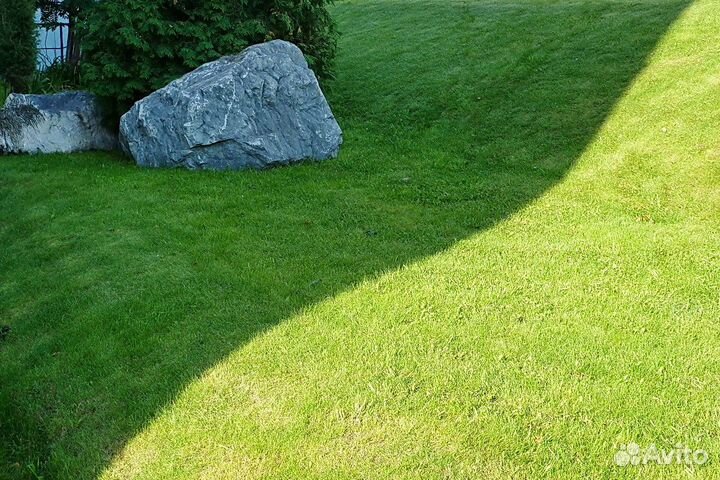 Доставка рулонного газона