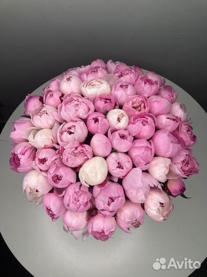 Цветы пионы