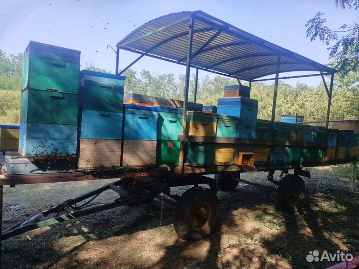 Ульи прицепы