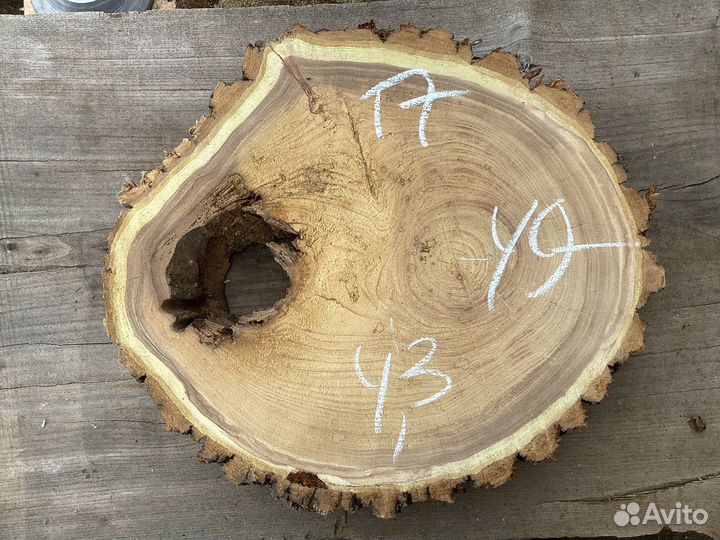 Спилы ореха, клена, карагача