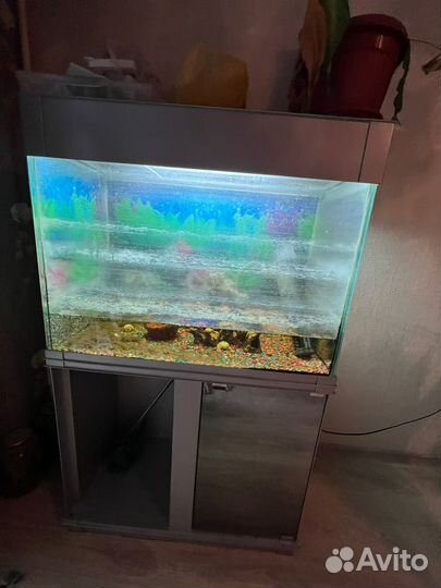 Аквариум