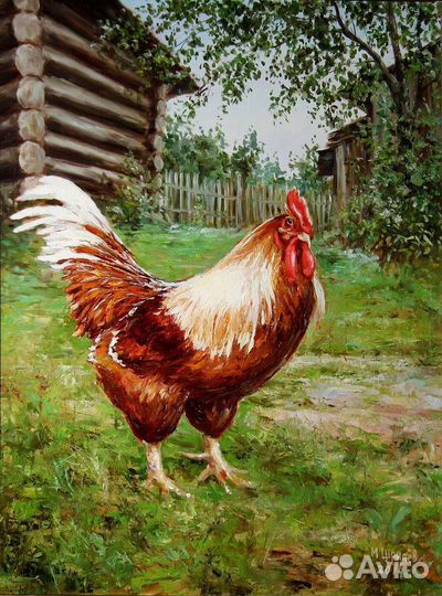 Продам Петухов