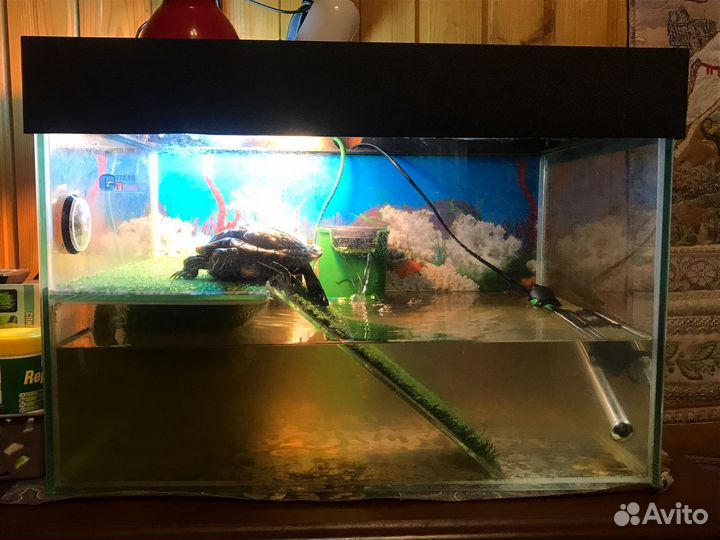 Аквариум