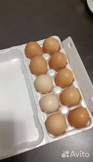 Яйца домашние куриные, диетические