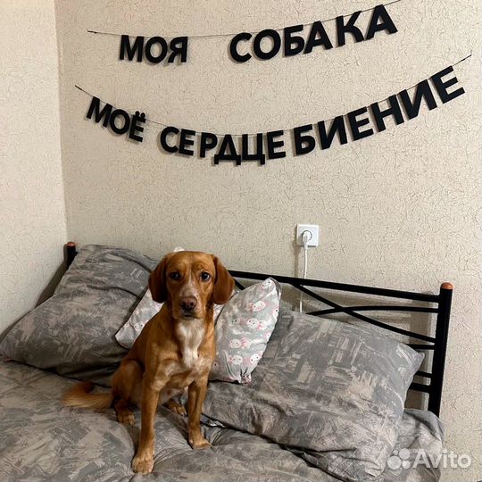 Гирлянда растяжка на один годик