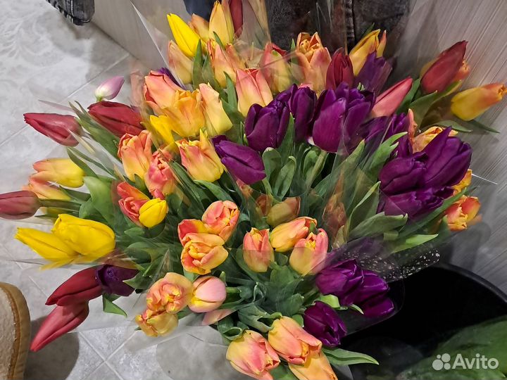 Тюльпаны к 8 марта