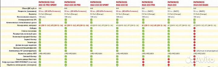 Aodes pathcross MAX 650 PRO, двухместный белый