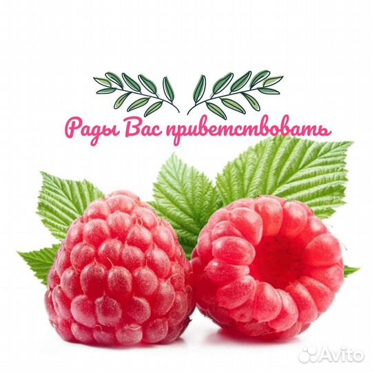 Сборщик малины