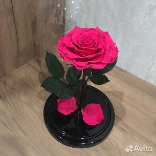 Роза в колбе