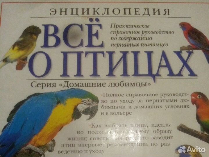 Энциклопедия о птицах