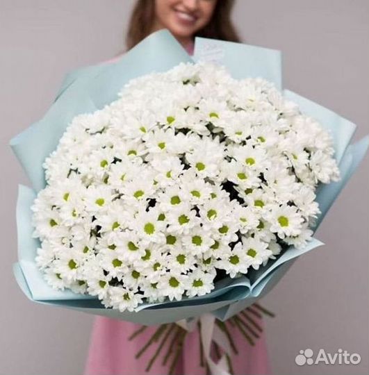 Хризантема