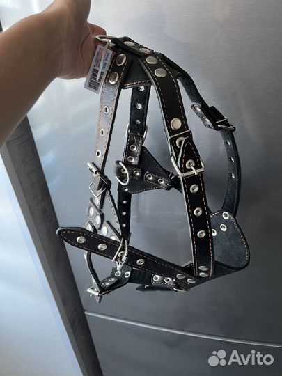 Шлейка для средней собаки