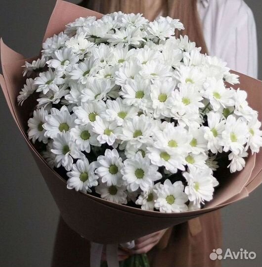 Хризантема Доставка цветов Букеты