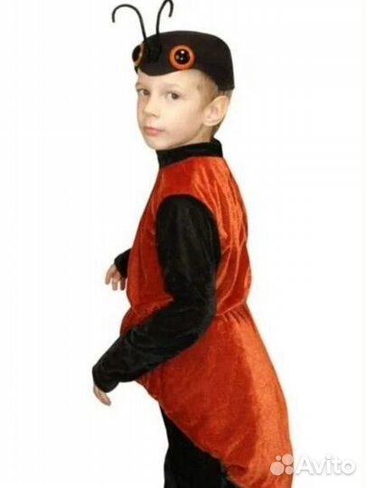 Костюм жука,кузнеца,муровья