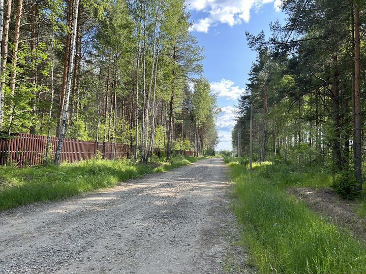 Участок 14,1 сот. (ИЖС)