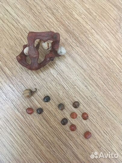 Семена конфетного дерева