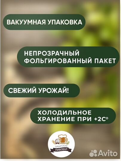 Хмель пивоваренный Жатецкий Zaaz 100 гр