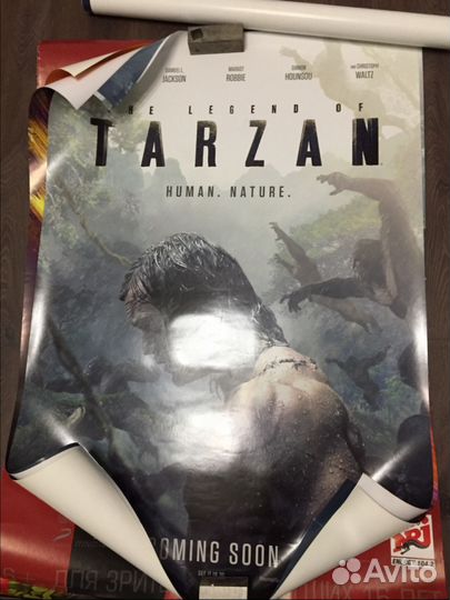 Постеры с автографами актеров