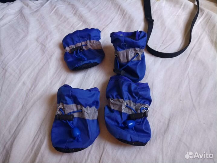 Ботиночки для собаки