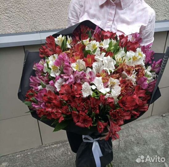 Большой букет альстромерии 51 шт