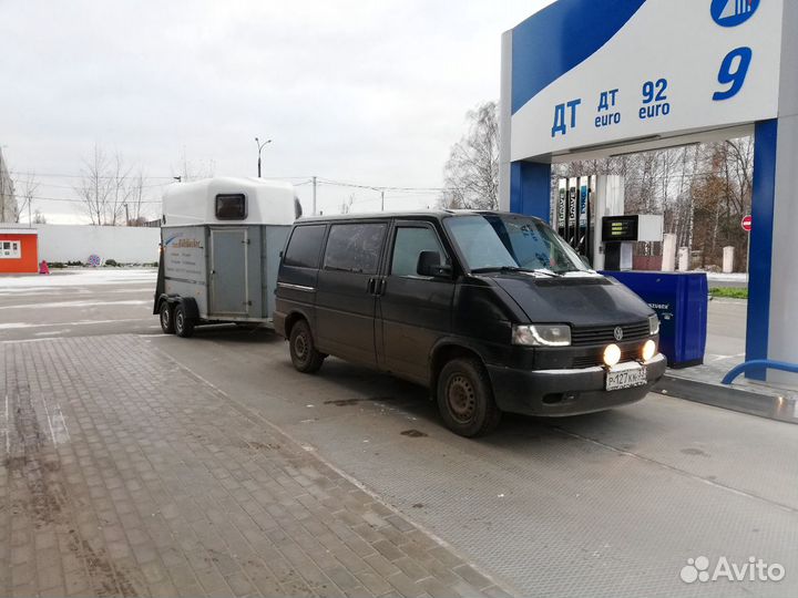 Перевозка лошадей, крс, конеперевозки