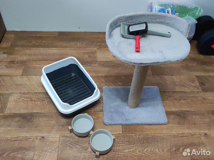 Набор для котов