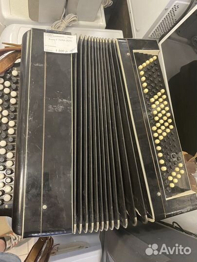 Баян г.Тула