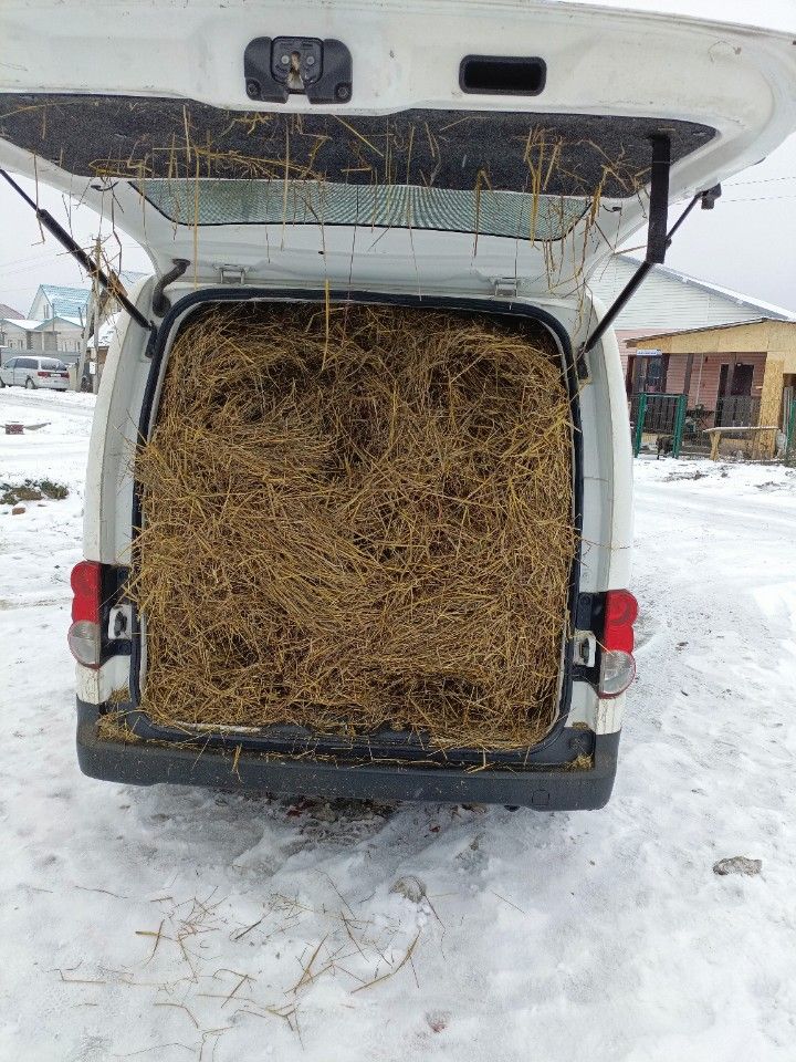 Nissan NV200: фото владельца