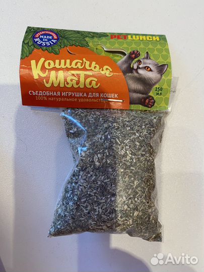 Кошачья мята